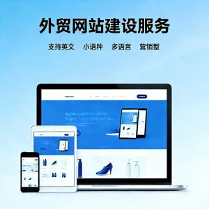外贸网站建设 独立站建设 外贸网站设计 英文网站建设 多语言网站建设